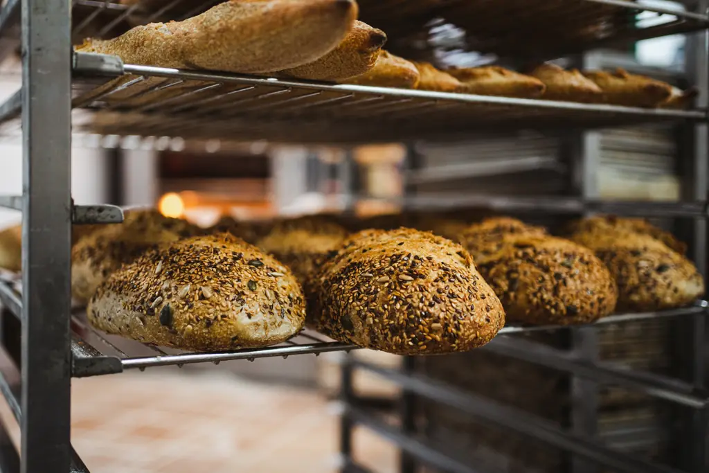 Pains aux graines refroidissant sur une échelle de fournil